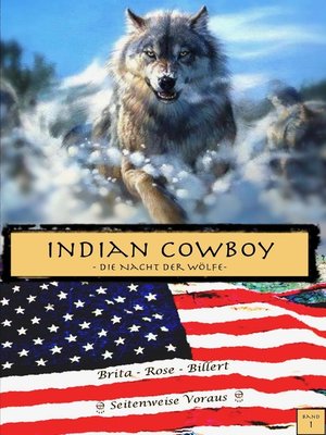 cover image of Indian Cowboy